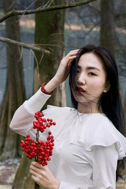 版本更新历史可视化